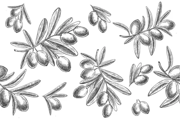 Olives Ensemble Style Dessiné Main Illustrations Vectorielles — Image vectorielle