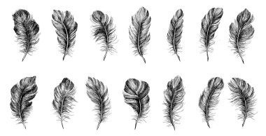 Tüylü Kalıp el çizimi