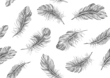 Beyaz arkaplanda el çizimi tüy.