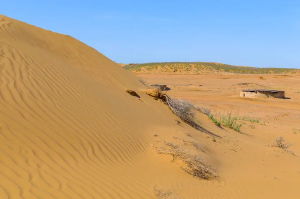 Panorama Del Semi Deserto Con Erba Secca — Foto Stock