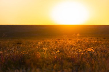 Sahada güzel bir gün batımı. Doğa arkaplanı