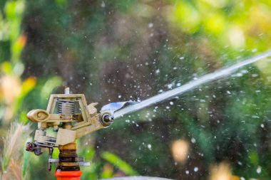 Otomatik Bahçe Çim Fıskiyesi. Çimleri suluyor. Yeşil Doğa Arkaplan kavramı.