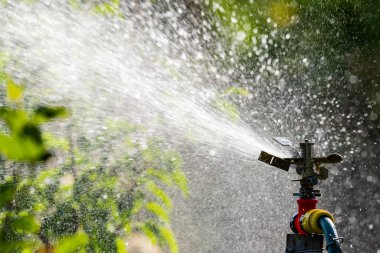 Otomatik Bahçe Çim Fıskiyesi. Çimleri suluyor. Yeşil Doğa Arkaplan kavramı.