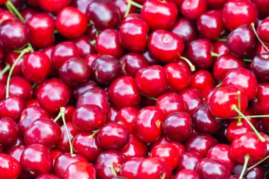 Olgun kiraz yığınını yaprak ve saplarla kapatın. Büyük bir taze kırmızı kiraz koleksiyonu. Olgun kiraz arkaplanı.