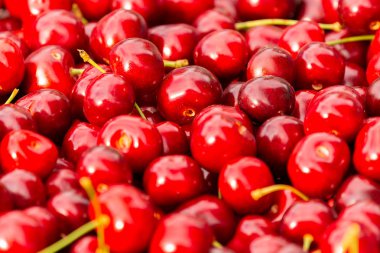 Olgun kiraz yığınını yaprak ve saplarla kapatın. Büyük bir taze kırmızı kiraz koleksiyonu. Olgun kiraz arkaplanı.