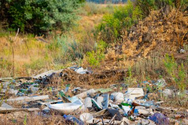 Çöplüğü forest, ekolojik felaket kavramı, doğa kirletici yakınındaki çimenlerin üzerinde.