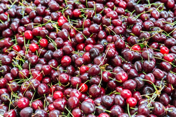 Cereza Bayas Orgánicas Frescas Con Hojas Macro Fondo Fruta —  Fotos de Stock