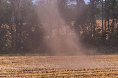 Küçük kasırga veya kasırga bir alanda toz ile.