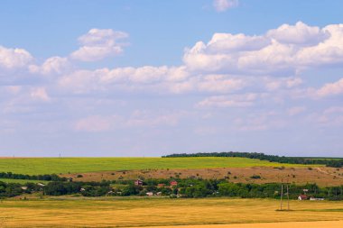 Buğday alan peyzaj gün zamanında.