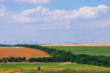 Buğday alan peyzaj gün zamanında.