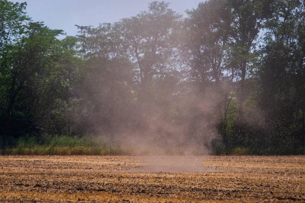 Kleiner Tornado Oder Wirbelwind Mit Staub Auf Einem Feld — Stockfoto