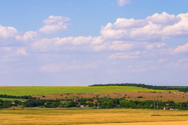 Buğday alan peyzaj gün zamanında.