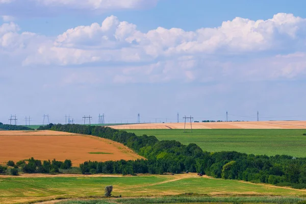 Buğday alan peyzaj gün zamanında.