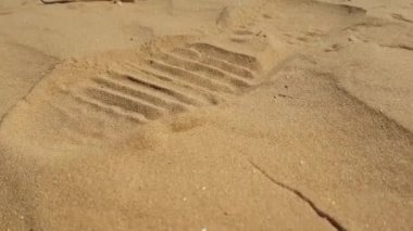 Benekli kurbağa başlı Agama kum üzerinde