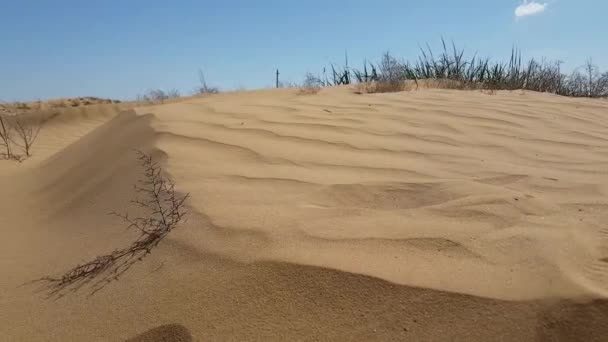 Vue sur la surface des dunes de sable 