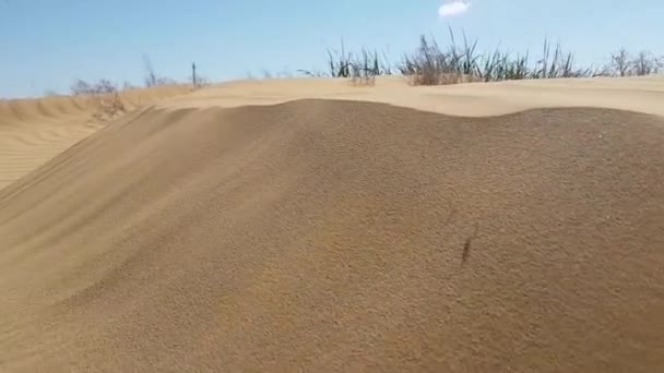 Vue sur la surface des dunes de sable 