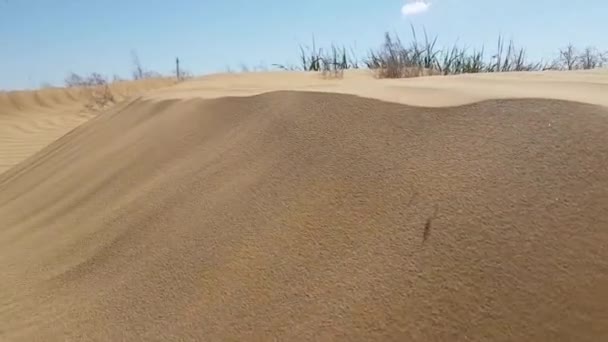 Вид на поверхню піщаних дюн — стокове відео