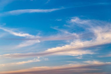 Altın günbatımı kırsal manzara üzerinde. Boş tarım alanı