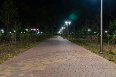 Akşam saat parkta. Gece şehir Park'ta yürüyüş yolu