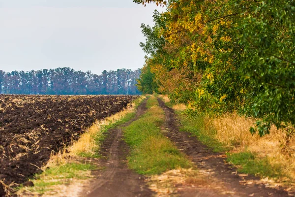 Estrada Rural Não Asfaltada Que Atravessa Campo Agrícola — Fotografia de Stock