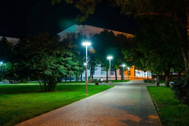 arka planda şehir ışıkları ile gece park yolu.