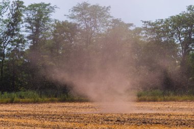 Küçük kasırga veya kasırga bir alanda toz ile.