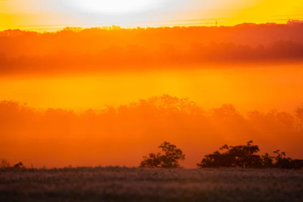 Golden and orange sunrise iluminating a hills and fields.
