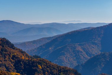 Sonbaharda dağ ormanlarında ağaçların olduğu manzaralı bir yer..