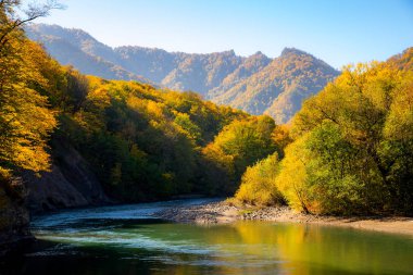 Güzel dağ nehri olan manzaralı bir yer. Dağ ormanlarında sonbahar. Güneşli bir gün.