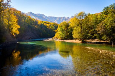 Güzel dağ nehri olan manzaralı bir yer. Dağ ormanlarında sonbahar. Güneşli bir gün.