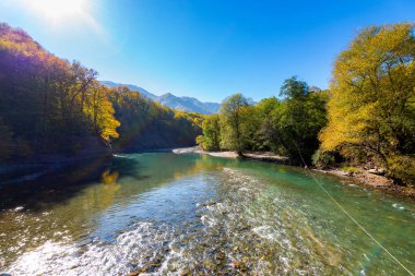 Dağ nehri ve ormanla sonbahar manzarası. Rusya, Kafkasya, Adygea