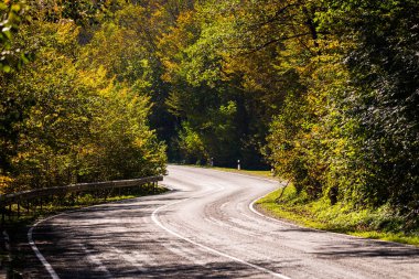 Sonbahar ağaçlar ile yeni bir yol doğal görünümünü.