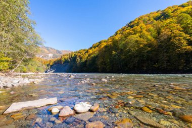 Dağ nehri ve ormanla sonbahar manzarası. Rusya, Kafkasya, Adygea
