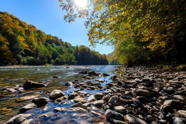 Dağ nehri ve ormanla sonbahar manzarası. Rusya, Kafkasya, Adygea