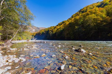 Dağ nehri ve ormanla sonbahar manzarası. Rusya, Kafkasya, Adygea