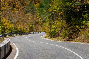 Sonbahar ağaçlar ile yeni bir yol doğal görünümünü.