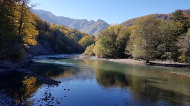 Dağ nehri ve ormanla sonbahar manzarası. Rusya, Kafkasya, Adygea