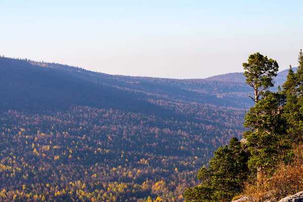 Scenic landscape with trees in mountain forest in autumn.