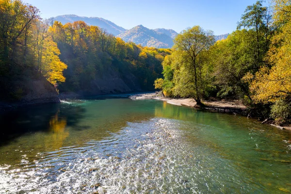Güzel dağ nehri olan manzaralı bir yer. Dağ ormanlarında sonbahar. Güneşli bir gün.