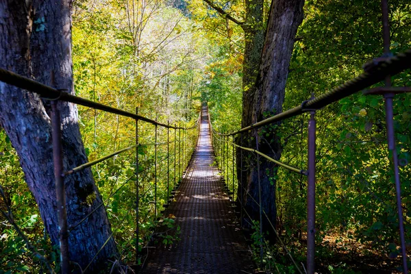 秋天跨越森林的狭窄金属脚桥 — 图库照片