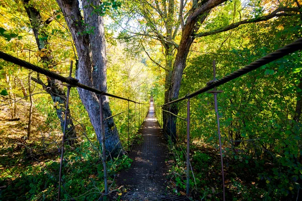 秋天跨越森林的狭窄金属脚桥 — 图库照片