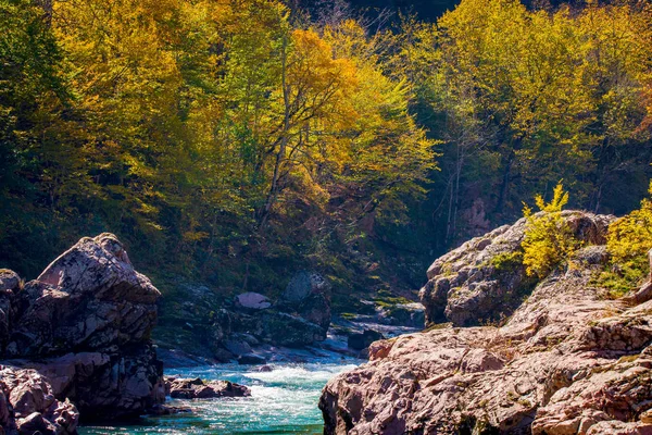 山の川や森と秋の風景 ロシア コーカサス アディギア — ストック写真