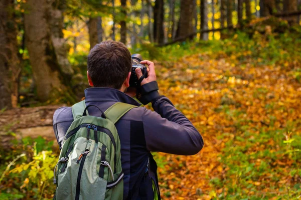 Back view male photographer in bright autumn forest.