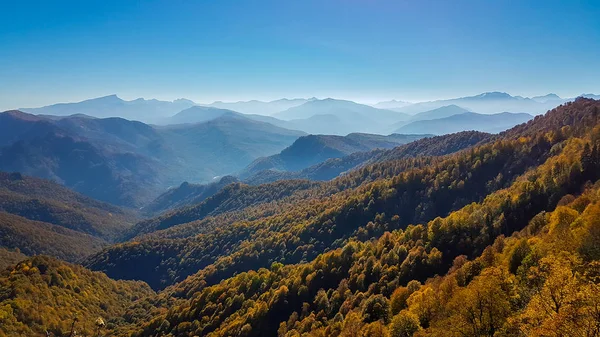 秋の山の森の中の木の風景 — ストック写真