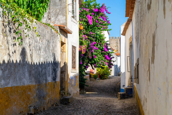 Cozy narrow streets of old town Obidos, Portugal.