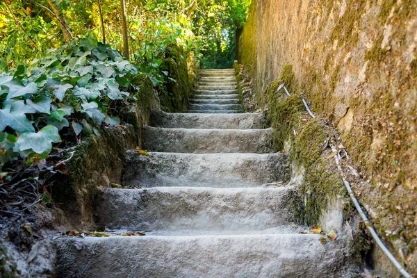 Trappen Abstracte Stappen Trappen Stad Granieten Trap Stenen Trap Vaak — Stockfoto