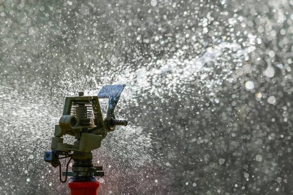 Irrigatore Automatico Giardino Azione Irrigazione Erba Natura Verde Concetto Fondo — Foto Stock