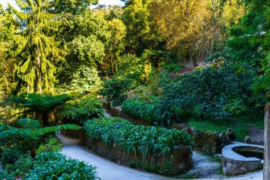 Geçit yolu rahat park. Doğa bir şehirde