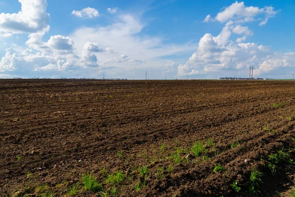 Чорне сільське господарство і блакитне небо з хмарами — стокове фото