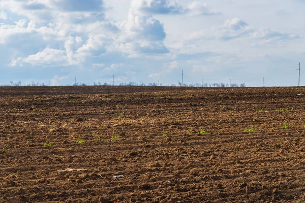 Campo de agricultura negro y cielo azul con nubes — Foto de Stock